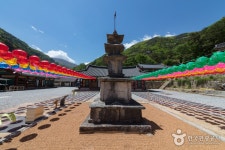 삼화사 템플스테이 - 강원특별자치도 동해시 - 가볼만한곳 - 관광지랭킹