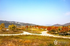 당남지구공원 - 경기도 여주시 - 가볼만한곳 - 관광지랭킹