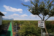 두루팜 관광 정보와 주변 관광 명소 및 근처 맛집 여행 정보
