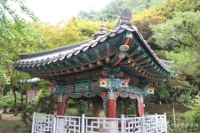 학림사(공주) (2026) - 충청남도 공주시 가볼만한곳 - 관광지랭킹