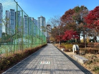 노들나루공원 - 서울특별시 동작구 - 가볼만한곳 - 관광지랭킹