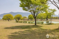 맥도생태공원 관광 정보와 주변 관광 명소 및 근처 맛집 여행 정보