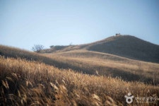 황매산 군립공원 관광 정보와 주변 관광 명소 및 근처 맛집 여행 정보