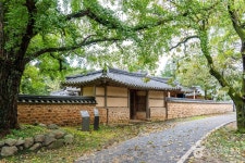 청라 은행마을 (보령) (2026) - 충청남도 보령시 가볼만한곳 - 관광지랭킹