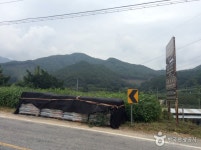 황장산 - 경상북도 문경시 - 가볼만한곳 - 관광지랭킹