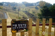 국향 - 강원특별자치도 정선군 - 가볼만한곳 - 관광지랭킹