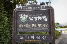 또나따목장 - 경기도 화성시 - 가볼만한곳 - 관광지랭킹