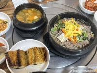 송화 - 충청북도 보은군 - 가볼만한곳 - 관광지랭킹