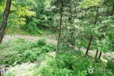 Cheongpyeong Recreational Forest (청평자연휴양림) - 관광지랭킹