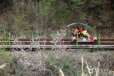 Mungyeong Rail Bike (문경 철로자전거(레일바이크)) - Korea Tour Ranking