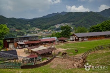 해피초원목장 - 강원특별자치도 춘천시 - 가볼만한곳 - 관광지랭킹