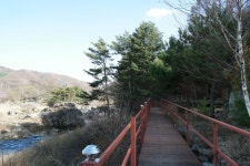 Hyoseok Literature Baengnigil Trail Course (효석문학 100리길) - 관광지랭킹