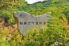 일월산 자생화공원 관광 정보와 주변 관광 명소 및 근처 맛집 여행 정보