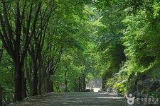느티골산림욕장 (2026) - 충청남도 금산군 가볼만한곳 - 관광지랭킹