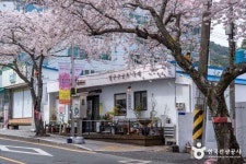 봉숫골 벚꽃길 (2026) - 경상남도 통영시 가볼만한곳 - 관광지랭킹