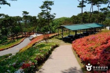 예당큰집 (2026) - 충청남도 홍성군 가볼만한곳 - 관광지랭킹