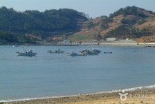 사촌해수욕장 - 캠프위크