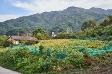 원주 삼태미마을 [산촌생태마을] - 강원특별자치도 원주시 - 가볼만한곳 - 관광지랭킹