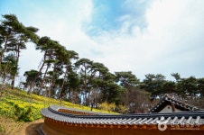[서산 아라메길] 천년미소길 레저스포츠 정보와 주변 관광 명소 및 근처 맛집 여행 정보