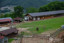 해피초원목장 - 강원특별자치도 춘천시 - 가볼만한곳 - 관광지랭킹