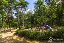 운제산산림욕장 - 경상북도 포항시 남구 - 가볼만한곳 - 관광지랭킹