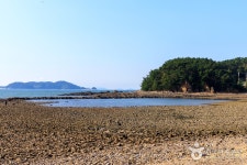 곰섬해수욕장 - 충청남도 태안군 - 가볼만한곳 - 관광지랭킹