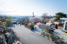 용인비봉산캠핑장 - 경기도 안성시 - 가볼만한곳 - 관광지랭킹