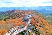 2021함양산삼항노화엑스포 - 경상남도 함양군 - 가볼만한곳 - 관광지랭킹