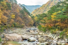 설악산 오색주전골 (2026) - 강원특별자치도 양양군 가볼만한곳 - 관광지랭킹