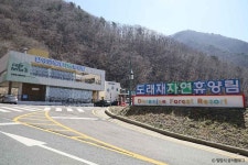 송백장 (5, 10일) (2026) - 경상남도 밀양시 가볼만한곳 - 관광지랭킹