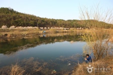 개천지 / 조성지 - 캠프위크