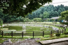 반기문 유엔사무총장 생가마을 (행치마을) - 충청북도 음성군 - 가볼만한곳 - 관광지랭킹