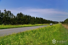 제주 동백마을 - 제주특별자치도 서귀포시 - 가볼만한곳 - 관광지랭킹