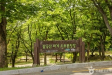 Foto hasil pencarian Naver 6