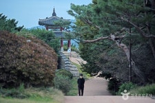 팔달산 - 경기도 수원시 팔달구 - 가볼만한곳 - 관광지랭킹