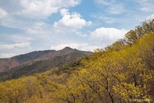 한반도지형전망공원 관광 정보와 주변 관광 명소 및 근처 맛집 여행 정보