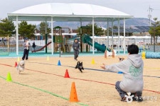 의성 펫월드 관광 정보와 주변 관광 명소 및 근처 맛집 여행 정보