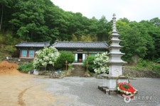경북대학교자연사박물관 - 대구광역시 군위군 - 가볼만한곳 - 관광지랭킹
