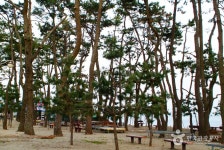 율포솔밭해변 및 해수풀장 - 캠프위크