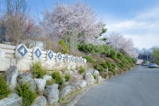 용인비봉산캠핑장 - 경기도 안성시 - 가볼만한곳 - 관광지랭킹