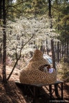 연미산 자연미술공원 (2026) - 충청남도 공주시 가볼만한곳 - 관광지랭킹