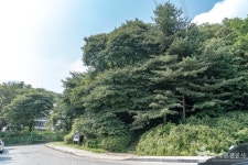 광교산체육공원 관광 정보와 주변 관광 명소 및 근처 맛집 여행 정보