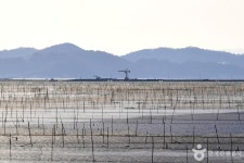 รูปภาพผลการค้นหา Naver 4