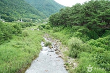 정선 가리왕산마을 - 강원특별자치도 정선군 - 가볼만한곳 - 관광지랭킹
