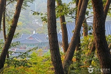 Insa-dong PR Center (인사동홍보관) - Sightseeing - Korea travel and tourism information