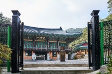 금정선원 (2026) - 부산광역시 동래구 가볼만한곳 - 관광지랭킹