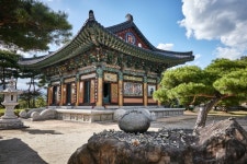 산청173(풀꽃누리) - 경상남도 산청군 - 가볼만한곳 - 관광지랭킹