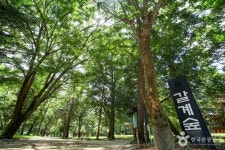 거창 갈계리 임씨고가 (2026) - 경상남도 거창군 가볼만한곳 - 관광지랭킹