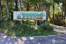 가든이천공원 (2026) - 경기도 이천시 가볼만한곳 - 관광지랭킹