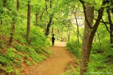 [북한산 둘레길 8구간] 구름정원길 레저스포츠 정보와 주변 관광 명소 및 근처 맛집 여행 정보
